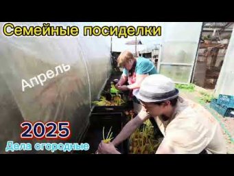 Апрельский сюрприз: сажаем лук и встречаем заморозки_. семейные посиделки 2025