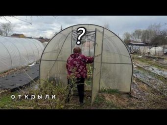 Уборка в теплице &mdash; залог урожая . жмзнь в деревне. Сад и огород , Семейные посиделки 2026