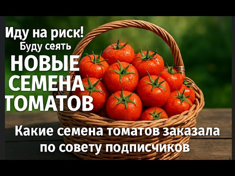 Какие семена томатов СТОИТ заказать? Проверяю ваши советы на практике! Какие семена томатов СТОИТ заказать? Проверяю ваши советы на практике!