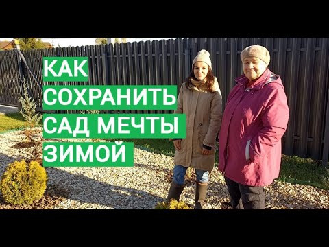 ТА САМАЯ НАСТЯ И ЕЕ САД МЕЧТЫ! КАК СОХРАНИТЬ САД ЗИМОЙ. ТА САМАЯ НАСТЯ И ЕЕ САД МЕЧТЫ! КАК СОХРАНИТЬ САД ЗИМОЙ.