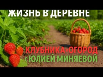 Семейные посиделки . клубника и огород с Юлией Миняевой