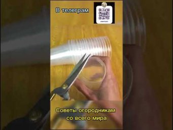 Полезные советы для огорода, со всего мира