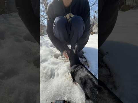 #asmr #asmrsounds #asmrsnow #shorts