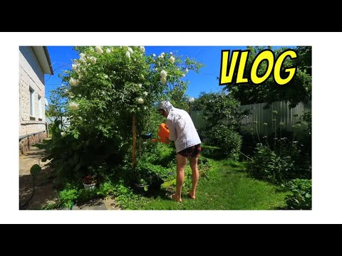 A Day in My Life / Growing food in our country garden / Family / Семейные посиделки 2022 A Day in My Life / Growing food in our country garden / Family / Семейные посиделки 2022