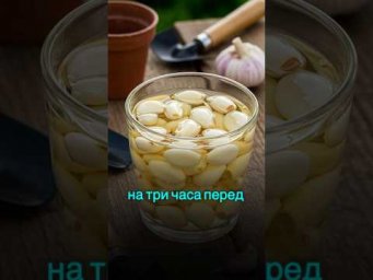 НЕ сажайте ЧЕСНОК осенью без этого. #сад #огород #урожай #садоводство #дача