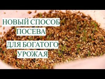 НОВЫЙ СПОСОБ  &mdash; КРЕПЧЕ РАССАДА! Как посеять ЛУК СЕМЯНАМИ для БОГАТОГО УРОЖАЯ