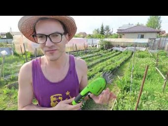 Секреты урожая в самый жаркий день!