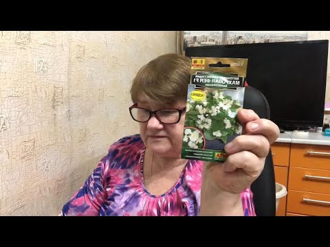 Семейные посиделки Миняева Юлия / Семена и выбор цветов Семейные посиделки Миняева Юлия / Семена и выбор цветов