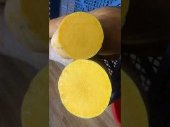 Урожай мускатной тыквы