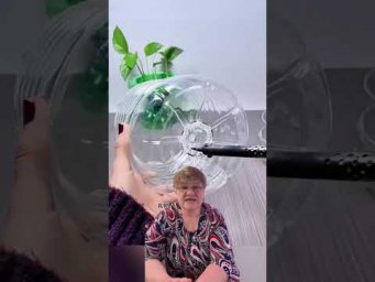 #лайфхаки и #diy для дома и цветов  #lifehacks