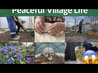 Peaceful Village Life  Simple Living in the Countryside
