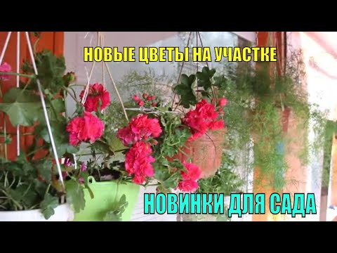 влог Семейные посиделки Миняева Юлия и Илья Импульс