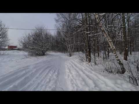 asmr Best Sounds Walking in the Snow 2026 relax #asmrwalk #asmr