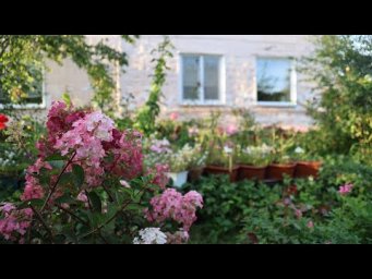 Peaceful ASMR from Village Life  Cooking, Nature & Daily Relaxation