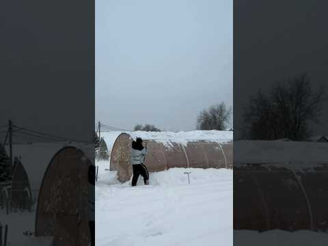 Winter in Russia #shorts