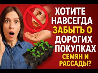 Черенкование с нуля: Как получить 100 саженцев из одного куста (даже новичок сможет).