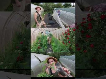 #relaxing #asmr #flowers