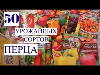 50 ЛУЧШИХ УРОЖАЙНЫХ СОРТОВ ПЕРЦА ДЛЯ ВЫРАЩИВАНИЯ В 2024 ГОДУ