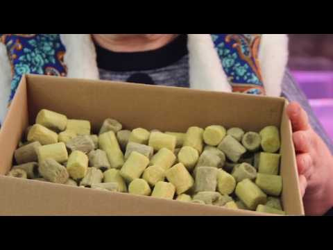 Это спасение для огородников! Укореняется все на ура! Это спасение для огородников! Укореняется все на ура!