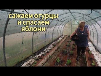 влог Семейные посиделки Миняева Юлия ( сад огород полезные советы)