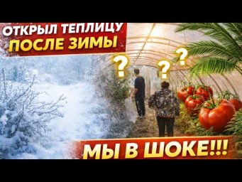 Пошли в теплицу после зимы&hellip; и обалдели   Семейные посиделки Миняева Юлия