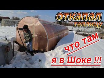 Я вообще не ожидал увидеть ЭТО в теплице после зимы !!! #asmr
