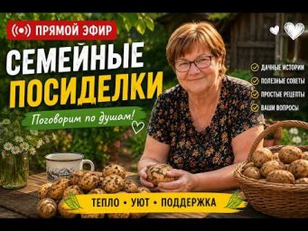 сад огород помидоры и розы _ удобрения для цветов_ трансляция #огород #дача