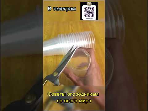 Полезные советы для огорода, со всего мира