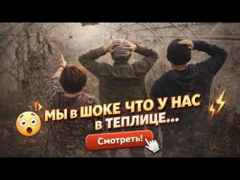 Продолжаем разбирать теплицу после зимы&hellip; работы очень много   Юлия Миняева 5 серия