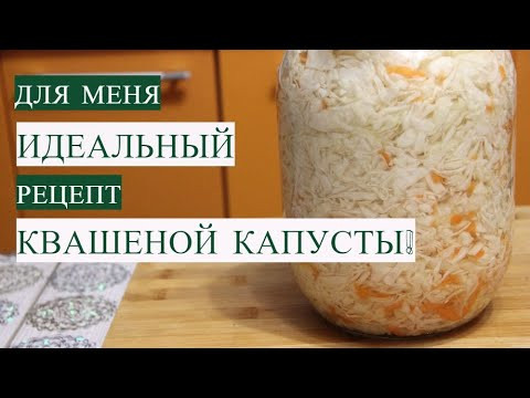 Для меня ИДЕАЛЬНЫЙ рецепт КВАШЕНОЙ КАПУСТЫ! Квашеная капуста на зиму. Для меня ИДЕАЛЬНЫЙ рецепт КВАШЕНОЙ КАПУСТЫ! Квашеная капуста на зиму.