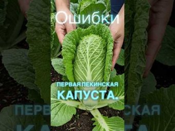 3 культуры, которые лучше не сажать в июльскую жару!