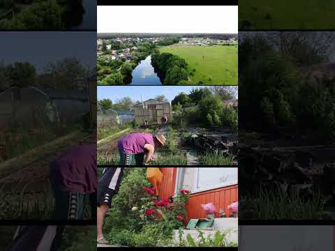 #asmr #relaxasmr #villagelife #lifestyle