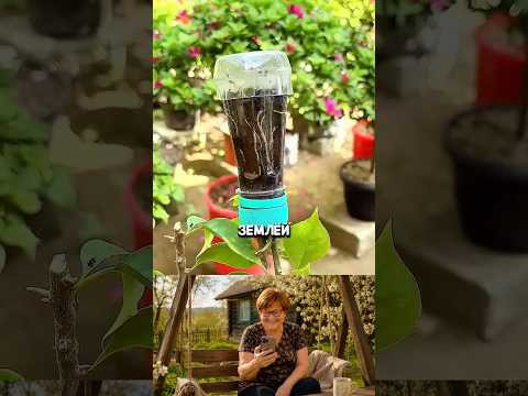 МАЛО КТО ПОНЯЛ СУТЬ ЕГО МЕТОДАХ #дача#сад #огород #shorts МАЛО КТО ПОНЯЛ СУТЬ ЕГО МЕТОДАХ #дача#сад #огород #shorts