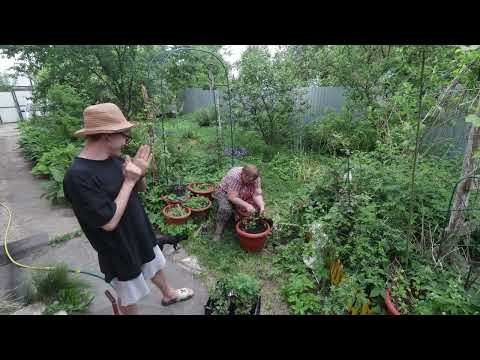 #asmr One Day in the Village Peaceful Sounds of Rural Life #asmr One Day in the Village Peaceful Sounds of Rural Life