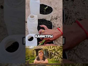 Эта технология спасёт любого дачника #дача #сад #shorts #лайфхаки