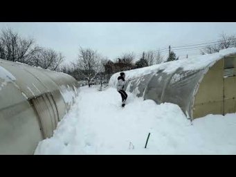 ASMR Cozy Winter in the Village  Garden Life