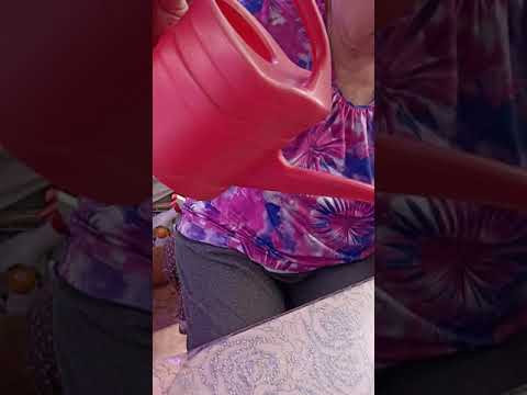 Супер лейка для рассады своими руками! Дёшево и практично! #огород #сад #цветы