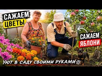 САЖАЕМ ЦВЕТЫ И ЯБЛОНИ  Большие перемены в нашем саду!