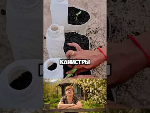 Эта технология спасёт любого дачника #дача #сад #shorts #лайфхаки