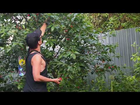 Slow Life in the Village #vlog #mydailyvlog