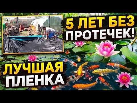 Пруд своими руками: секрет долголетия (5 лет и не течет!) Пруд своими руками: секрет долголетия (5 лет и не течет!)