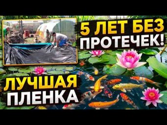 Пруд своими руками: секрет долголетия (5 лет и не течет!)