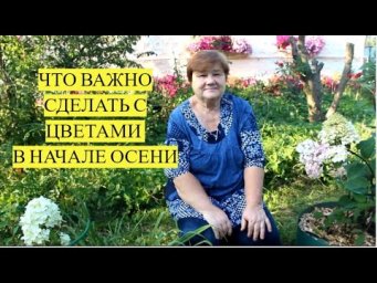 НЕ УПУСТИТЕ ВРЕМЯ! Как подготовить цветы к зиме и защитить от вымерзания
