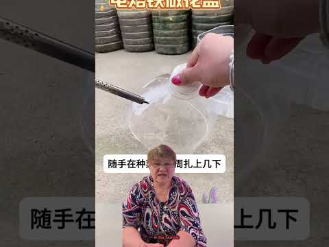 #lifehacks для огорода #полезныесоветы #лайфхаки