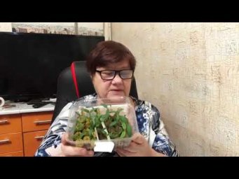 Теперь сею ПЕРЦЫ ТОЛЬКО ТАК! Потрясающий результат БЮДЖЕТНО!