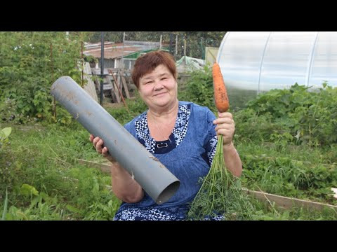 Не спешите выбрасывать остатки труб! Они спасут ваш урожай!