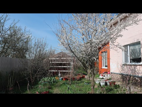 СЕМЬЯ В ОГОРОДЕ  Юлия Миняева рулит!  садим, копаем, смеёмся!