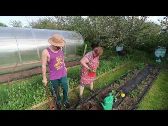 Life in a Small Village: Farming, Animals & Daily Hustle