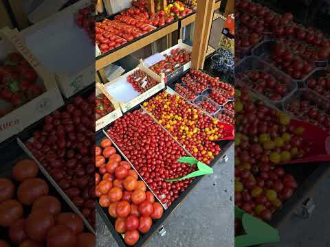 Полезные факты про томаты
