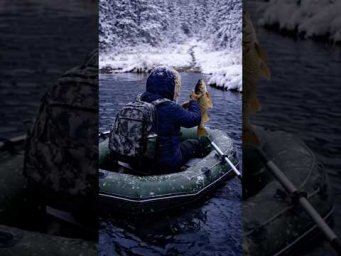 Life in the Forest  Quiet Fishing #shorts #shortvideo #lifestyle